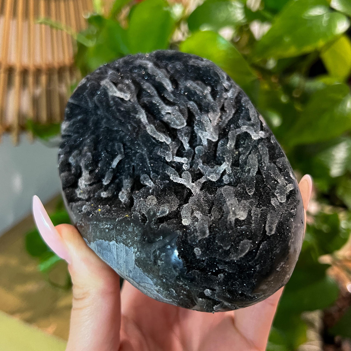 Black Galaxy Amethyst Geode