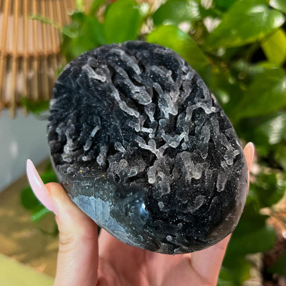 Black Galaxy Amethyst Geode