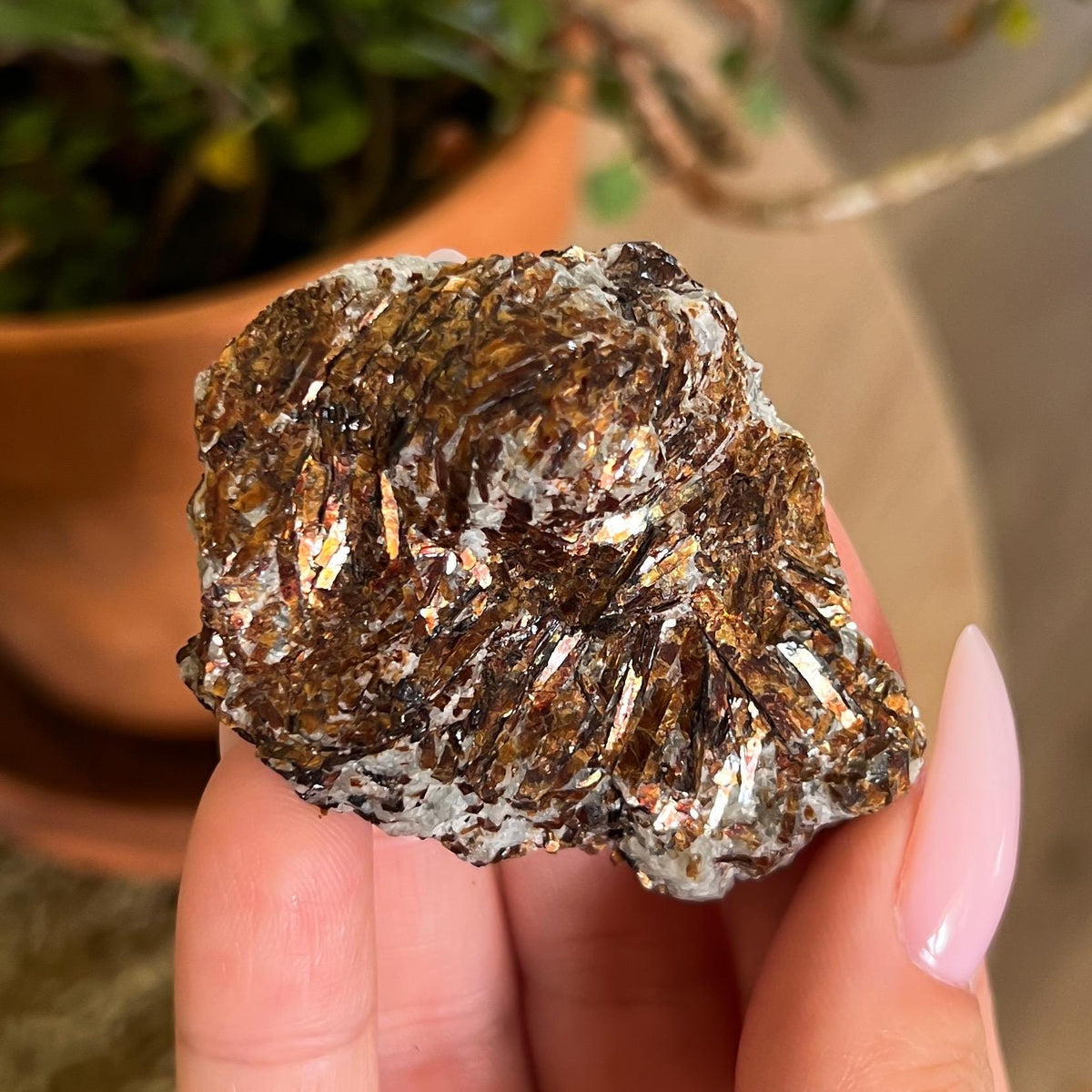 Astrophyllite Raw