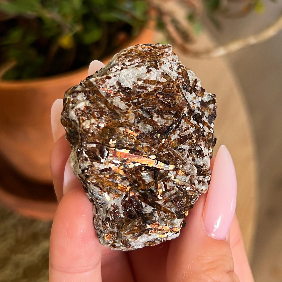 Astrophyllite Raw