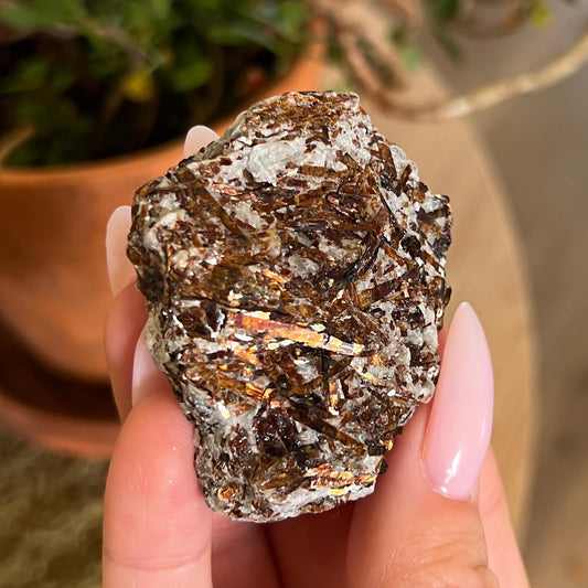Astrophyllite Raw