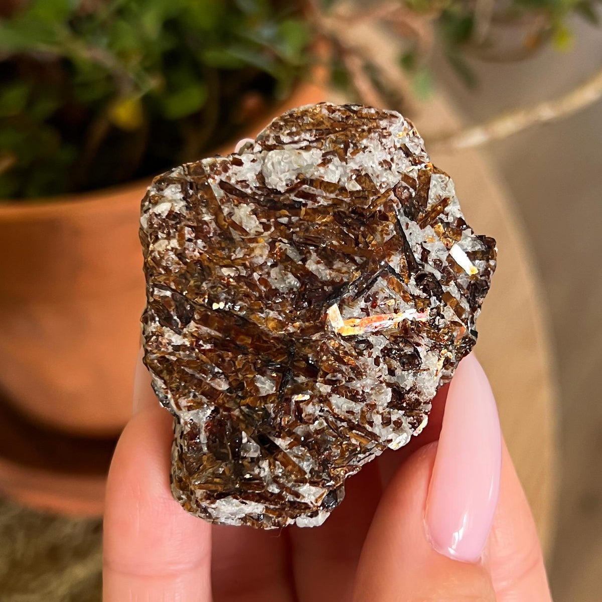 Astrophyllite Raw
