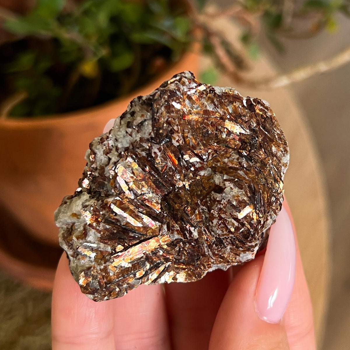 Astrophyllite Raw