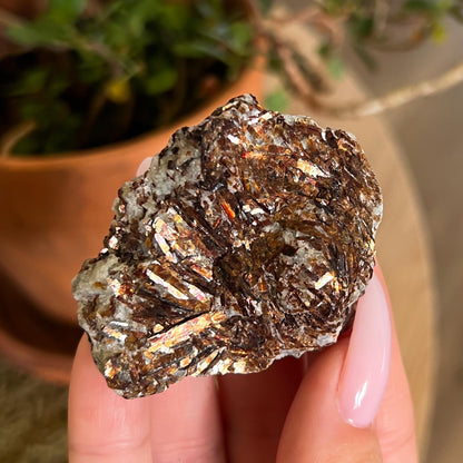 Astrophyllite Raw
