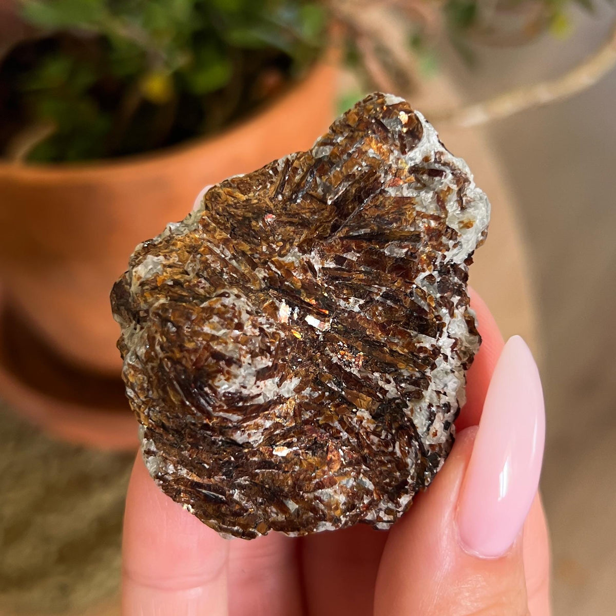 Astrophyllite Raw