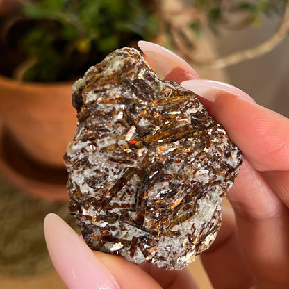 Astrophyllite Raw
