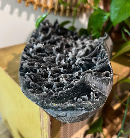 Black Amethyst Center Piece