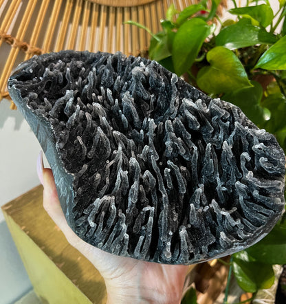 Black Amethyst Center Piece