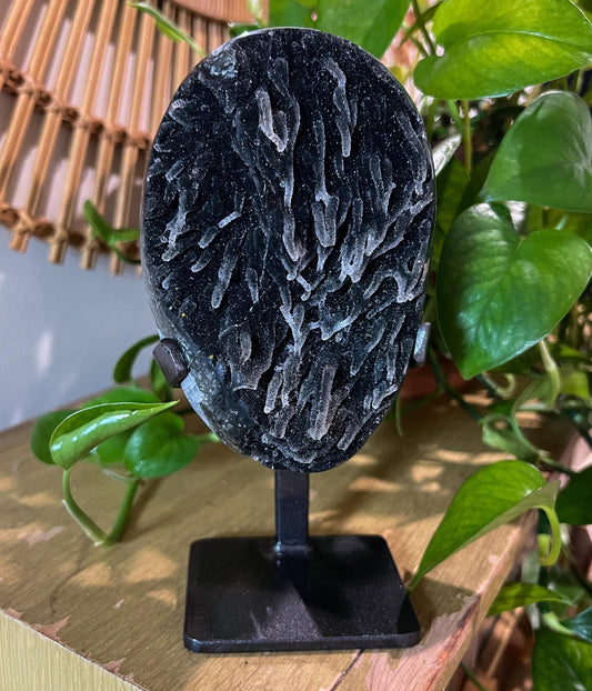 Black Galaxy Amethyst Geode