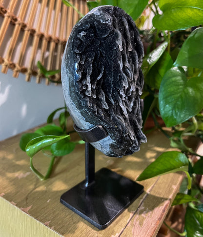 Black Galaxy Amethyst Geode