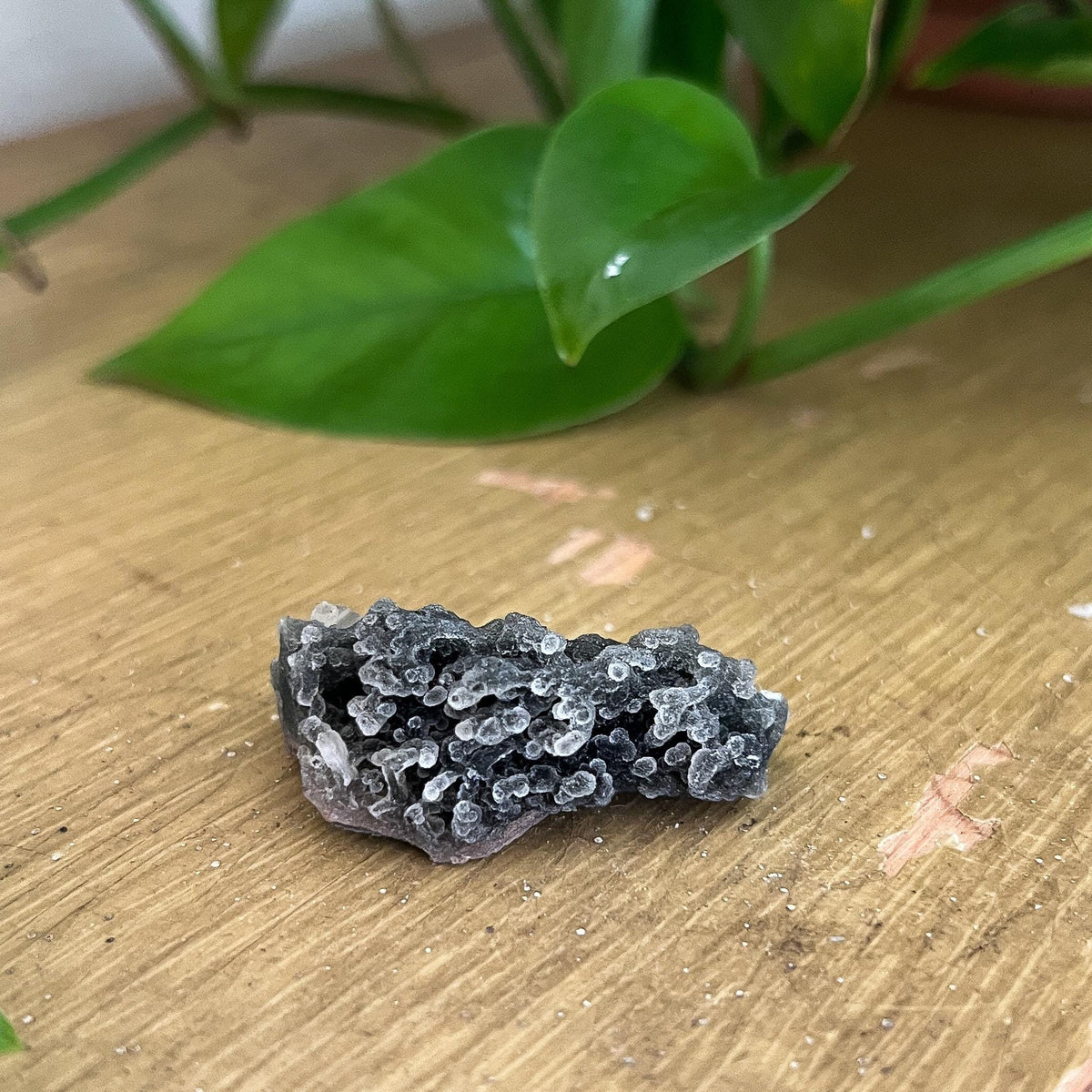 Black Stalactite Cluster