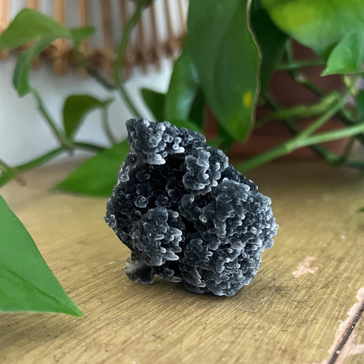 Black Stalactite Cluster
