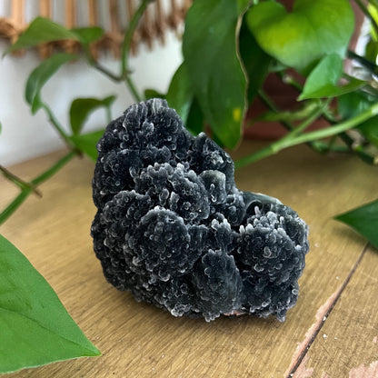 Black Stalactite Cluster