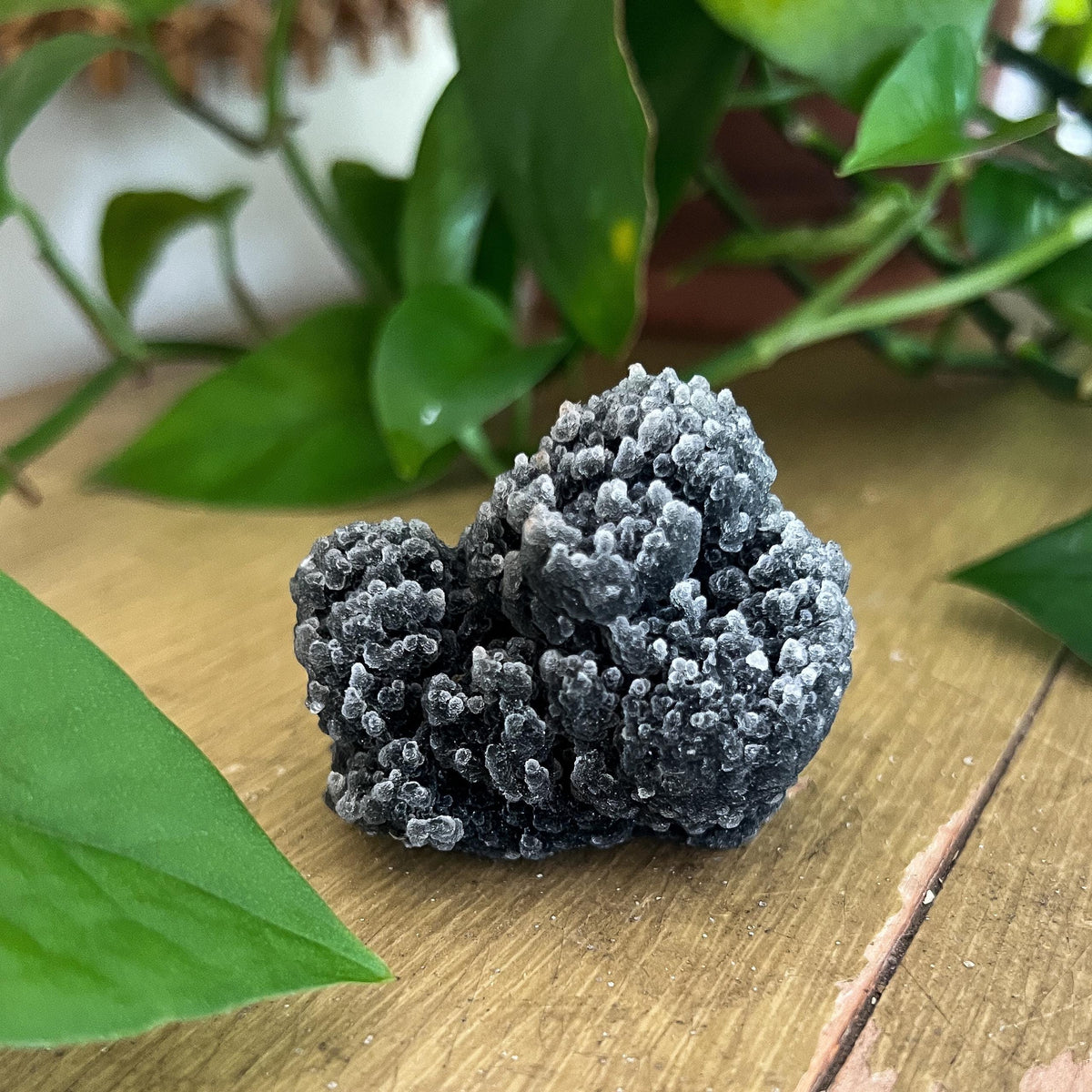 Black Stalactite Cluster