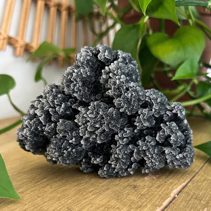 Black Stalactite Cluster