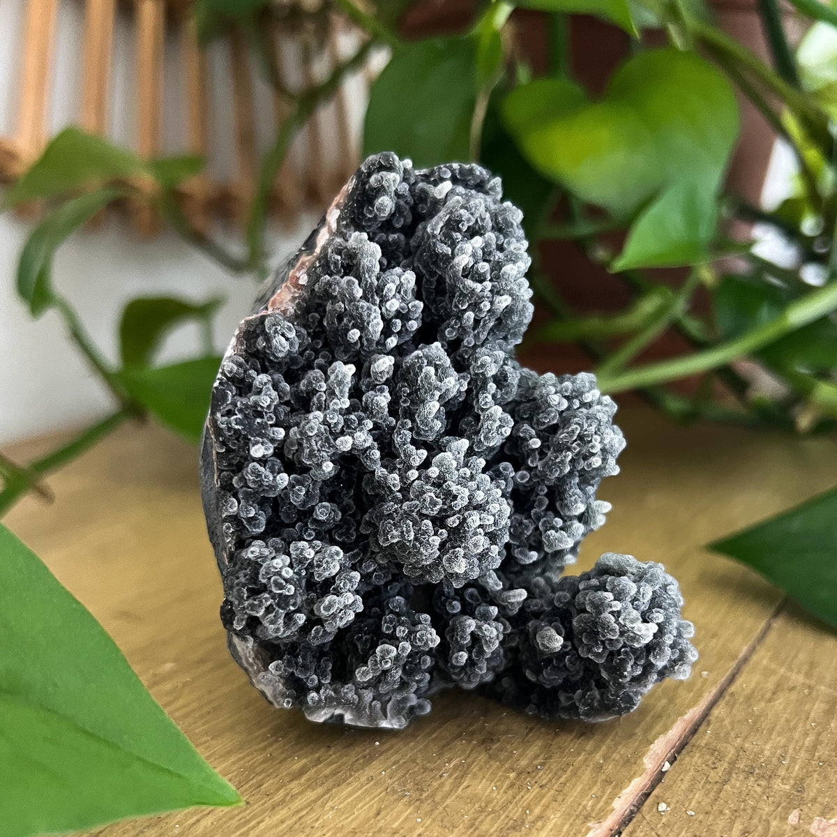 Black Stalactite Cluster