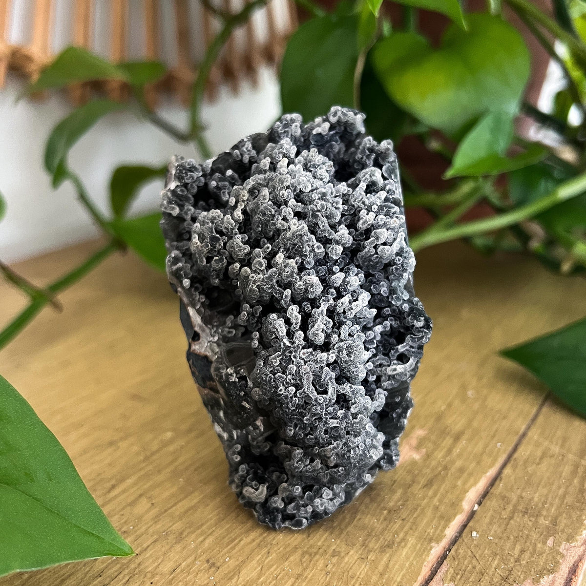 Black Stalactite Cluster