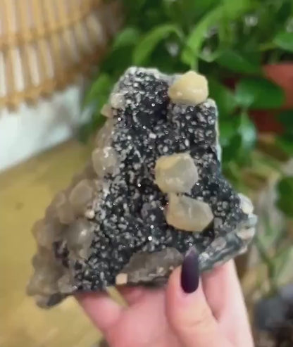 Video